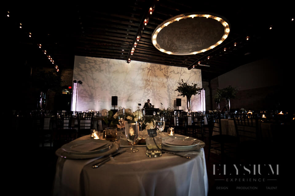 Elysium Experience Snowflake Gobo Projection